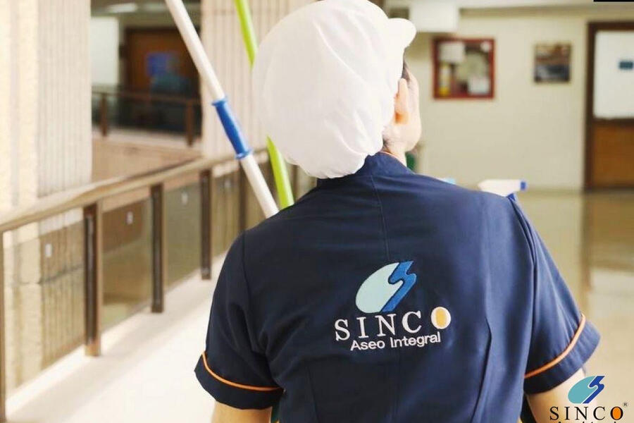 Limpieza Básica (4 Horas)