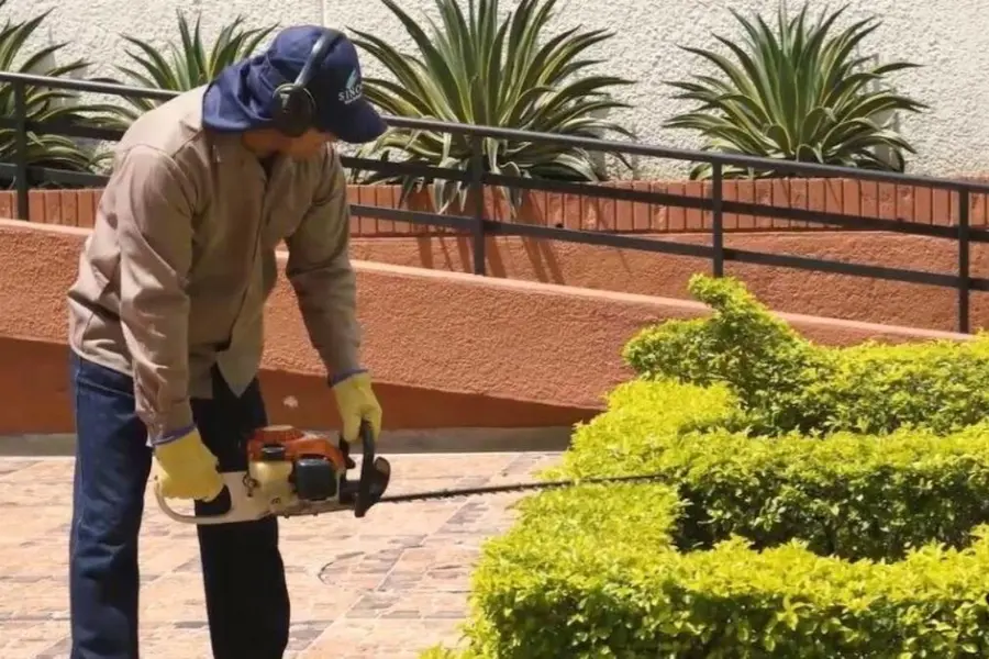 Aseador Jardinero